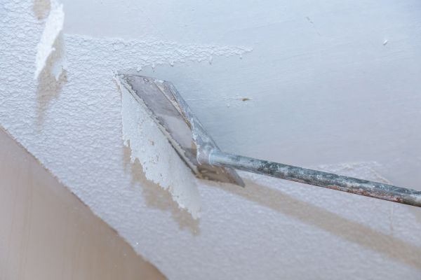Professional Ceiling Removal Service